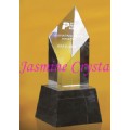 Crystal Award(2-037)