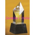 Crystal Award