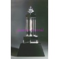 Crystal Award