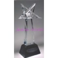 Crystal Award