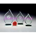 Crystal Award