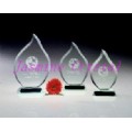 Crystal Award(2-080)