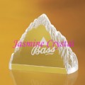 Crystal Trophy