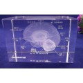 3D Laser human brain