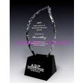 Crystal Trophy