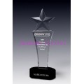 crystal award(2-182)