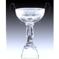 Crystal Trophy(2-195)