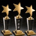 crystal Star trophy(2N-123)