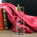 Crystal Award